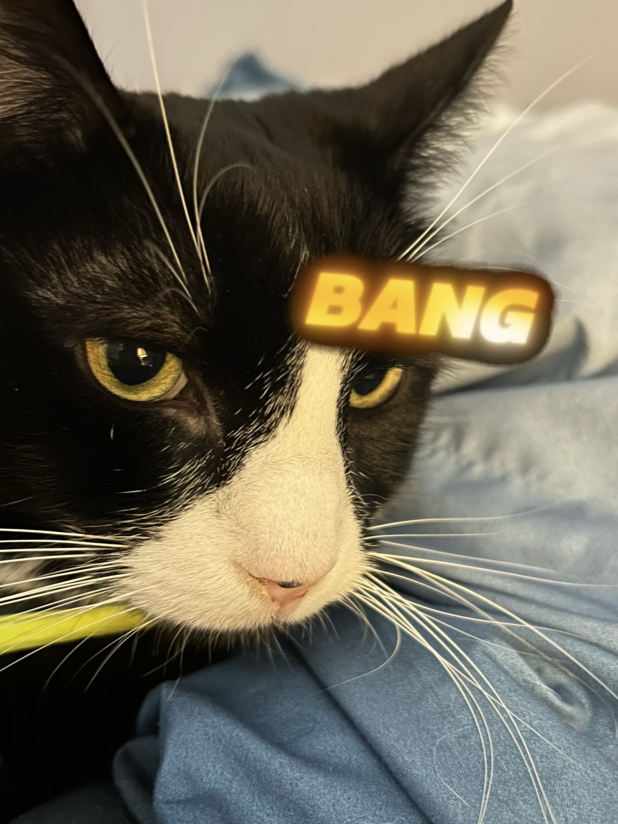 Bang