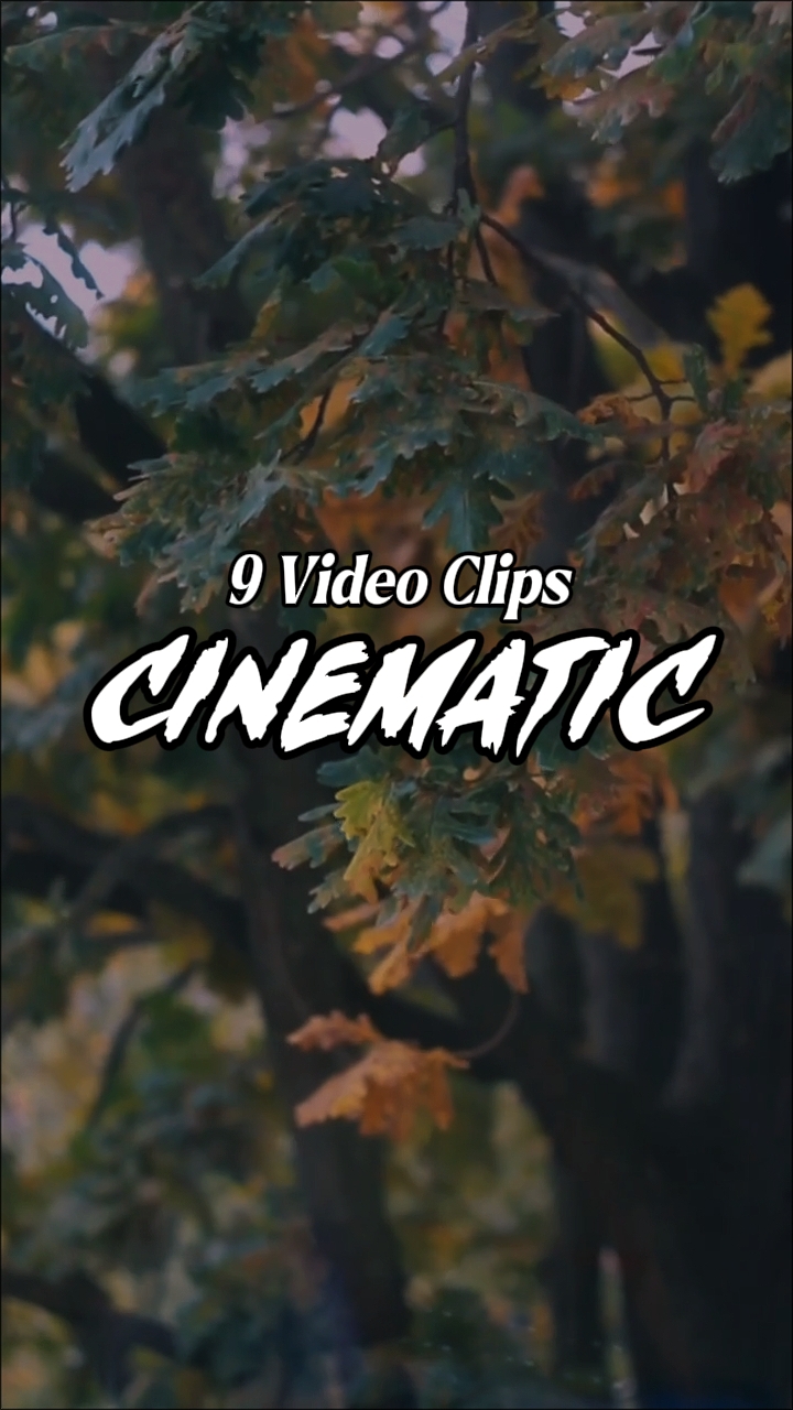 9 Videos Clips