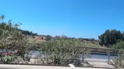 ….