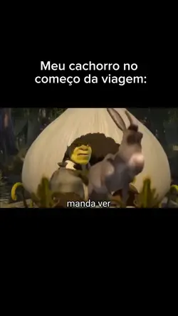 Cachorro viajando