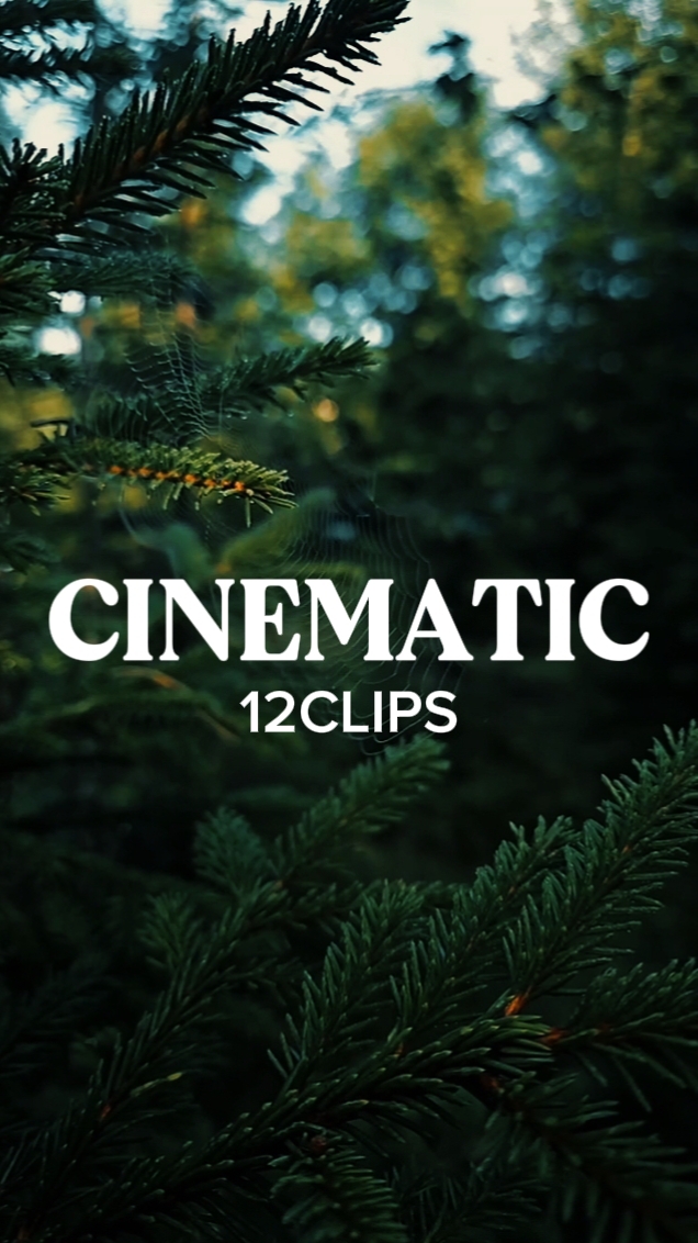 KLIP 12 CINEMATIK