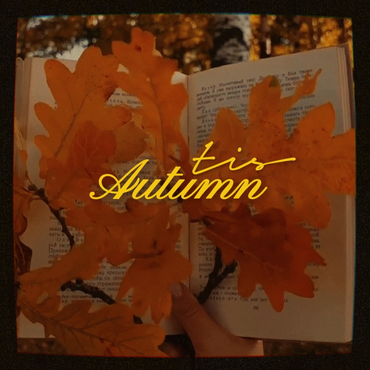 Télévision cinématographique d'automne