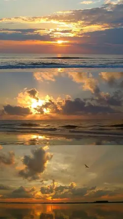 3 pics