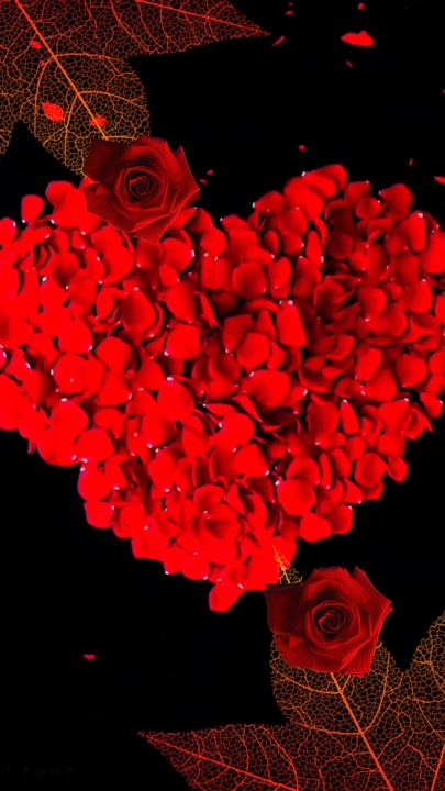 Red rose