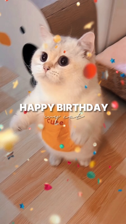 HPBD KUCING SAYA