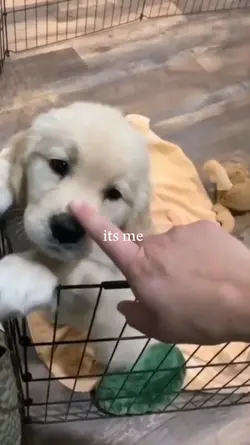am always hungry
