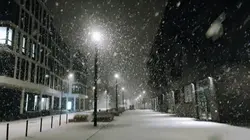 Snowy winter!