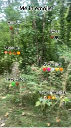 Me in emojis