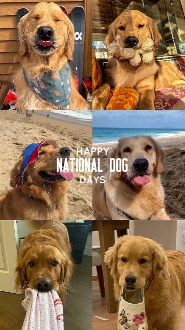 National Dog Day