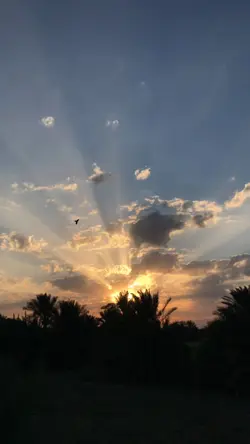 sunset aesthetic