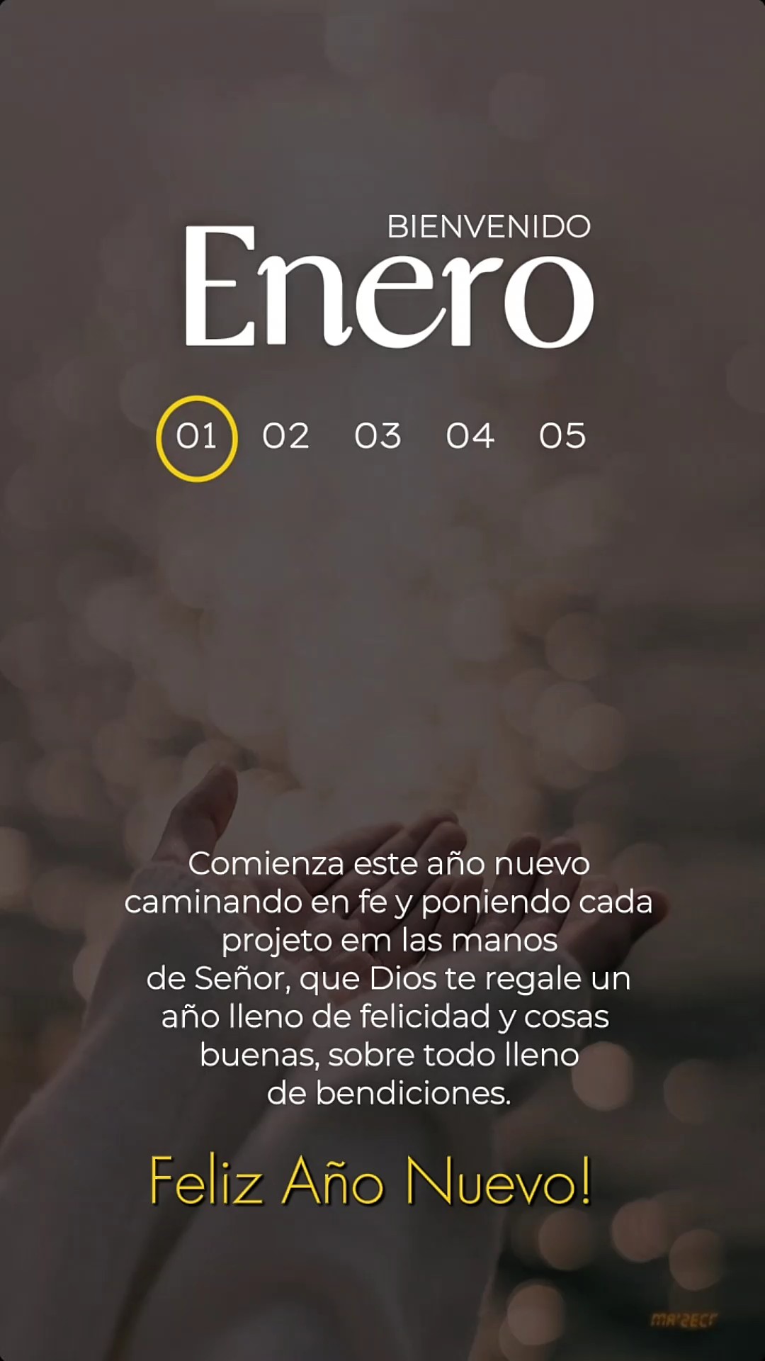 enero bienvenido