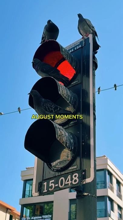 MOMENTOS DE AGOSTO 