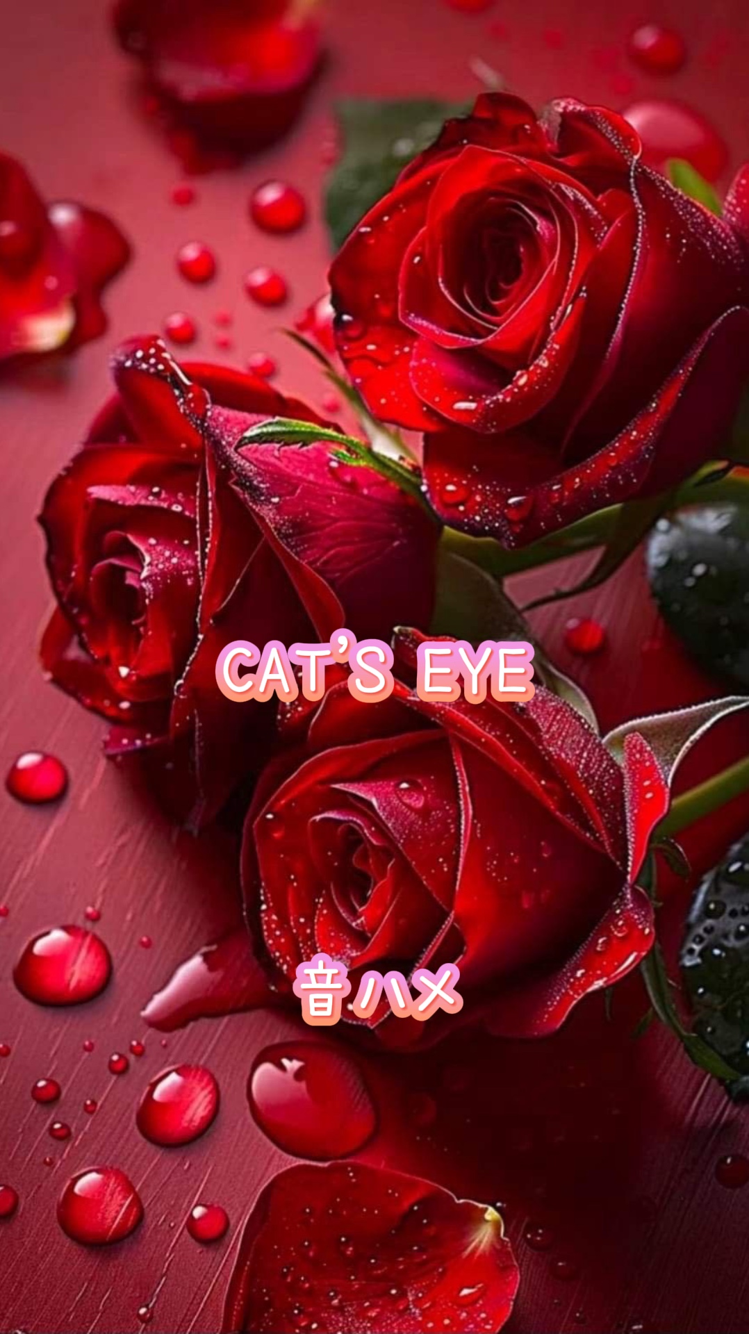 OEIL DE CHAT