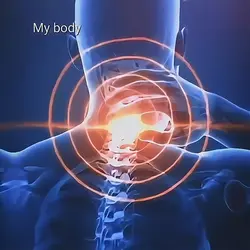 My body my work