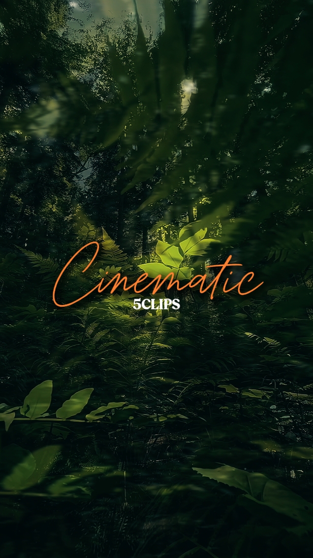 5 clips cinématiques 