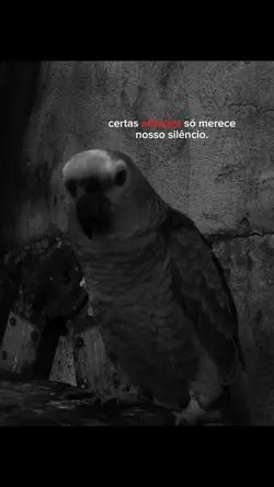 certas atitudes