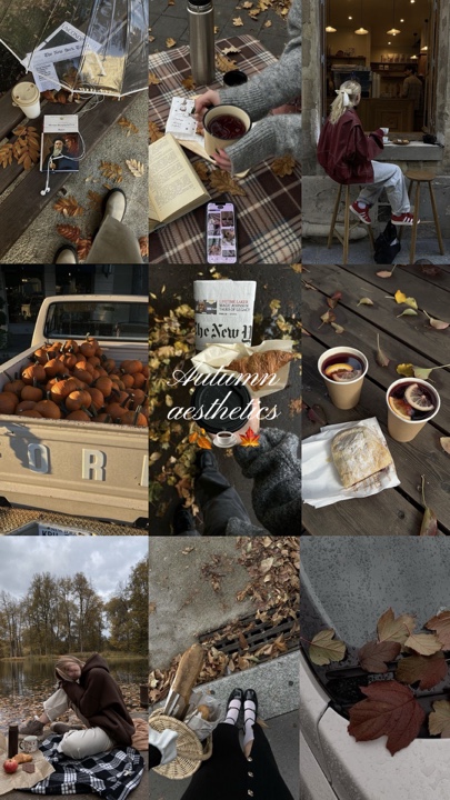 autumn aesthetics