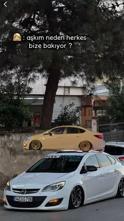 Bize bakıyor