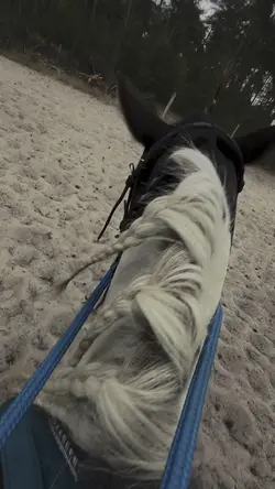 Bestes Pony(meinpony