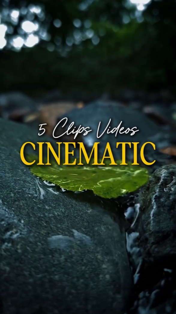 CINEMATIC 5 VIDEOS