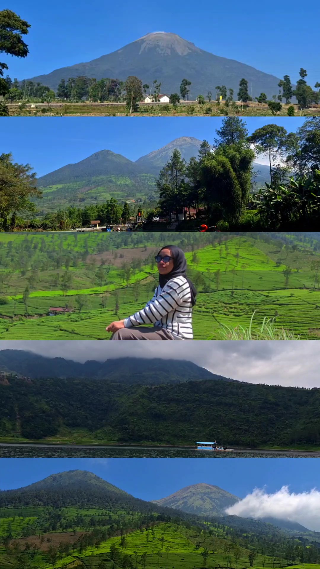 5 Video Landscape