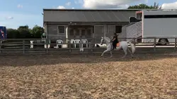 loved this horse