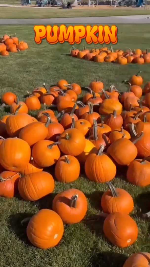 Pumpkin