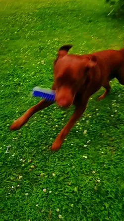 Zu spät