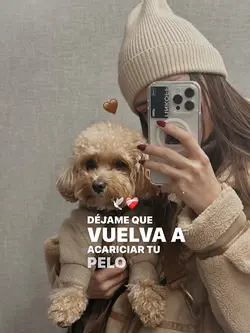 27 de octubre 🥹
