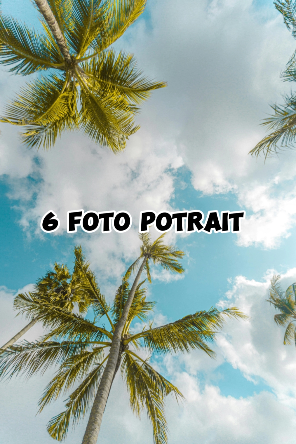 6 foto potre 