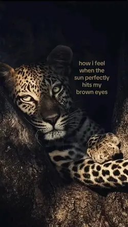 eyes !!