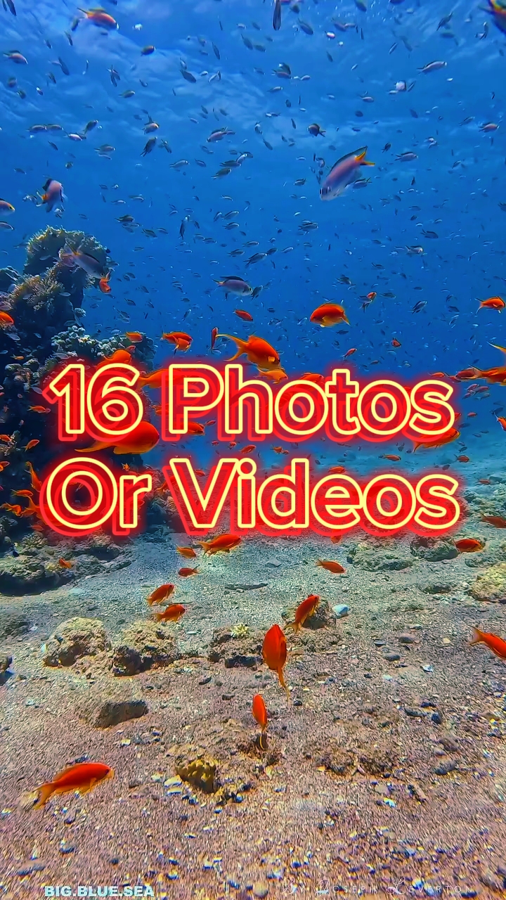 16 Seluncuran Foto