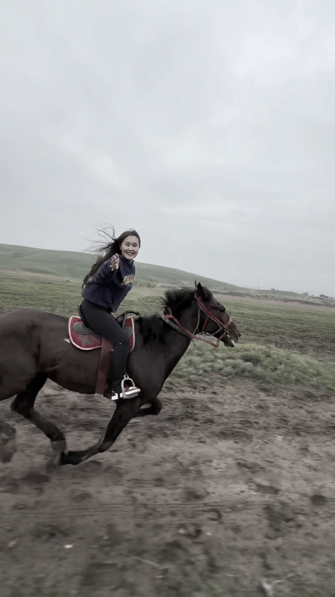HORSE X SLOWMOTION 
