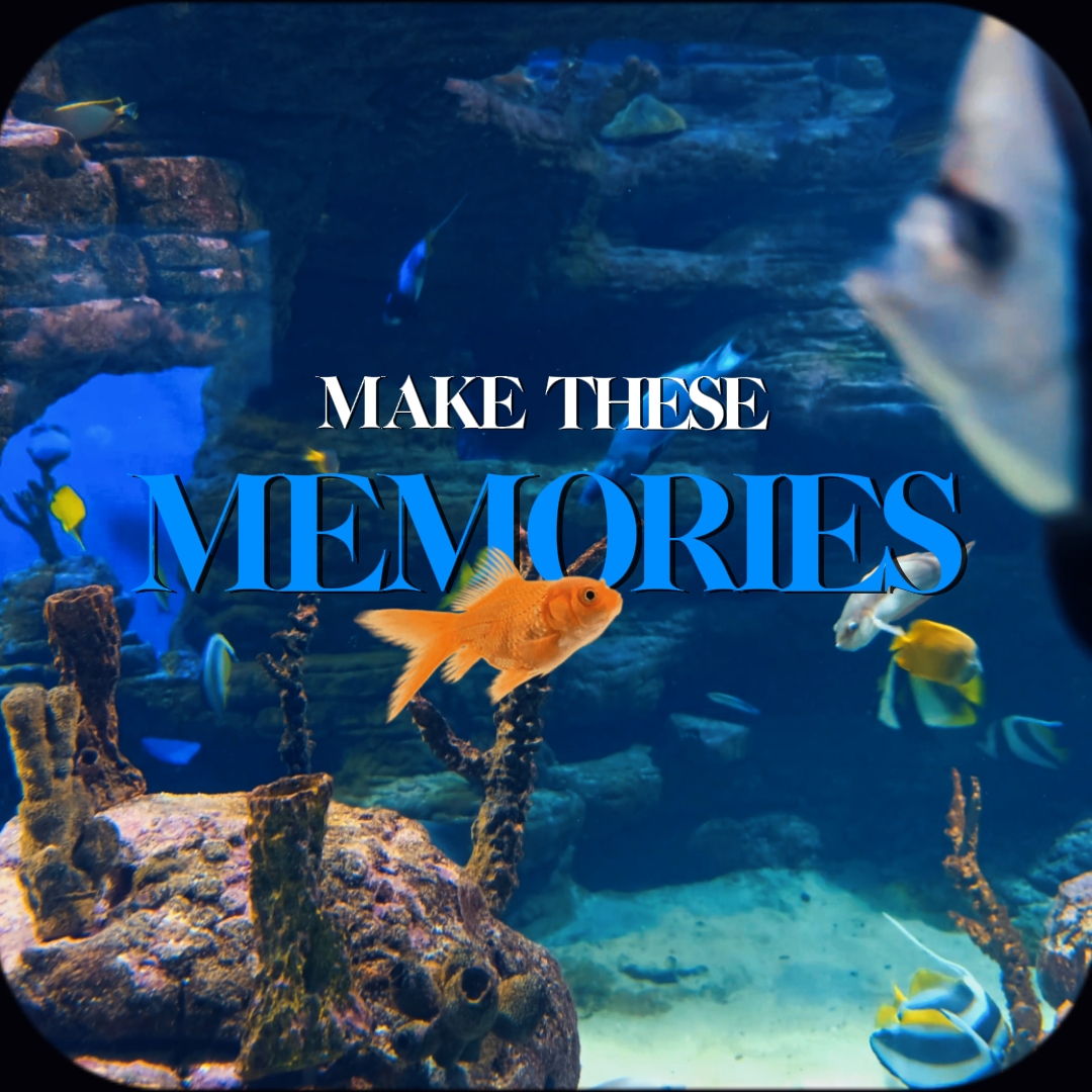 Melbourne Aquarium