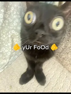 i WaNt foodie