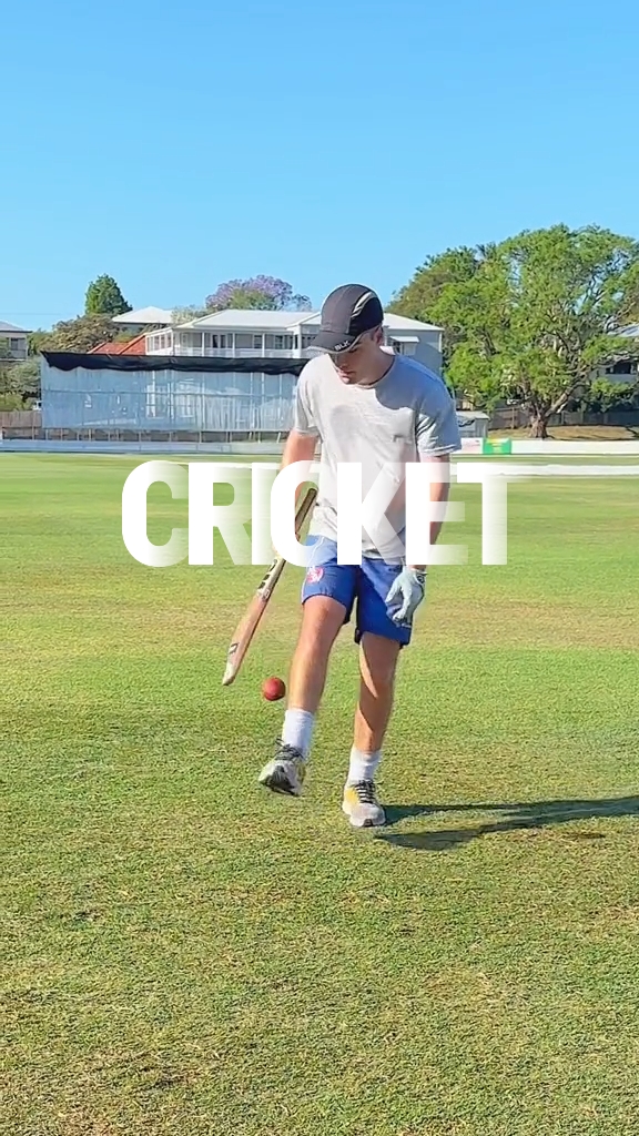 cricket Sport
