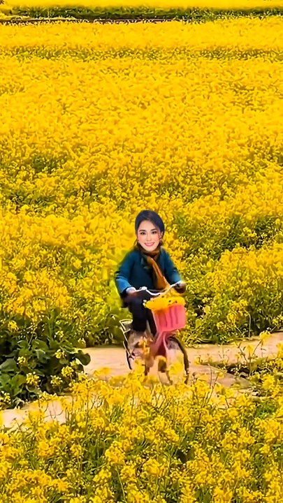 VI VU XE ĐP 