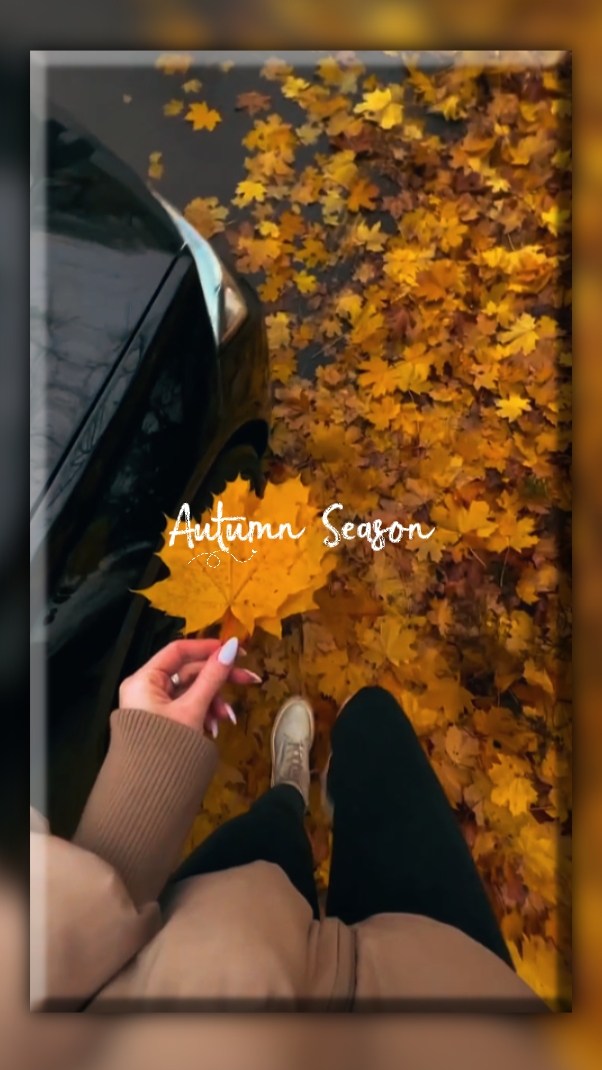 Herbst Saison 