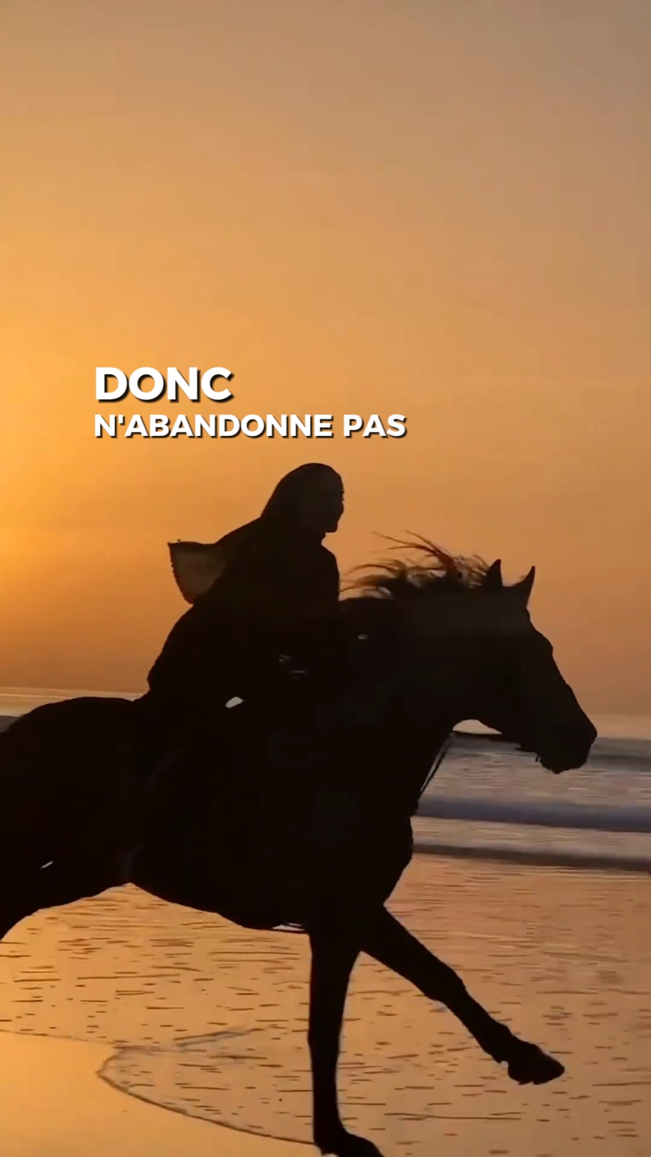 N 'abandonne pas