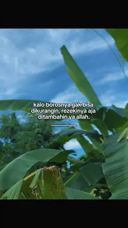 kalo borosnya gak bi