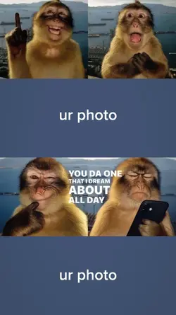 monkey pose trend