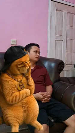 trenkucing
