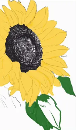 ASMR drawing