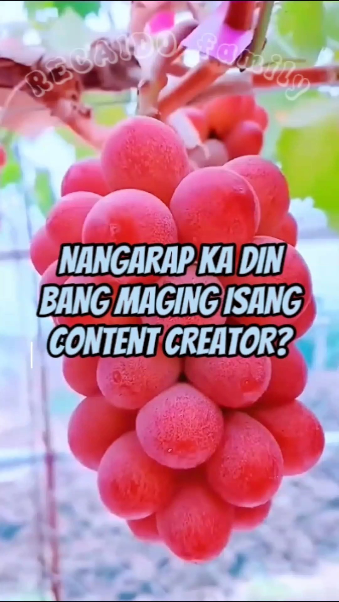 LANG LABAN 