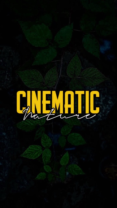 Cinematic