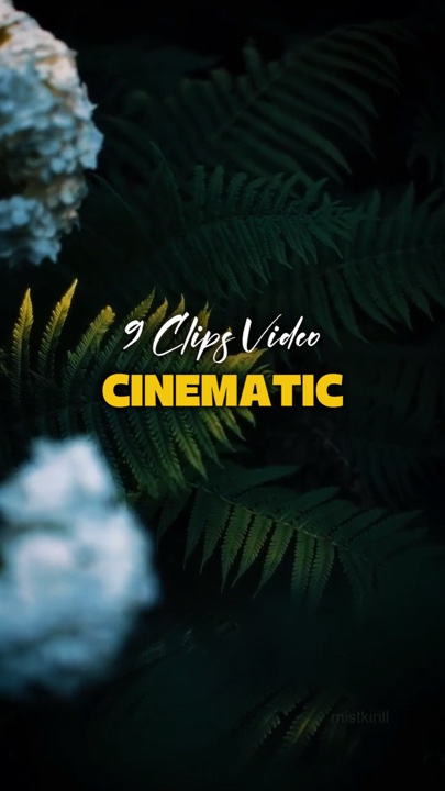 9 CLIPS VIDEO