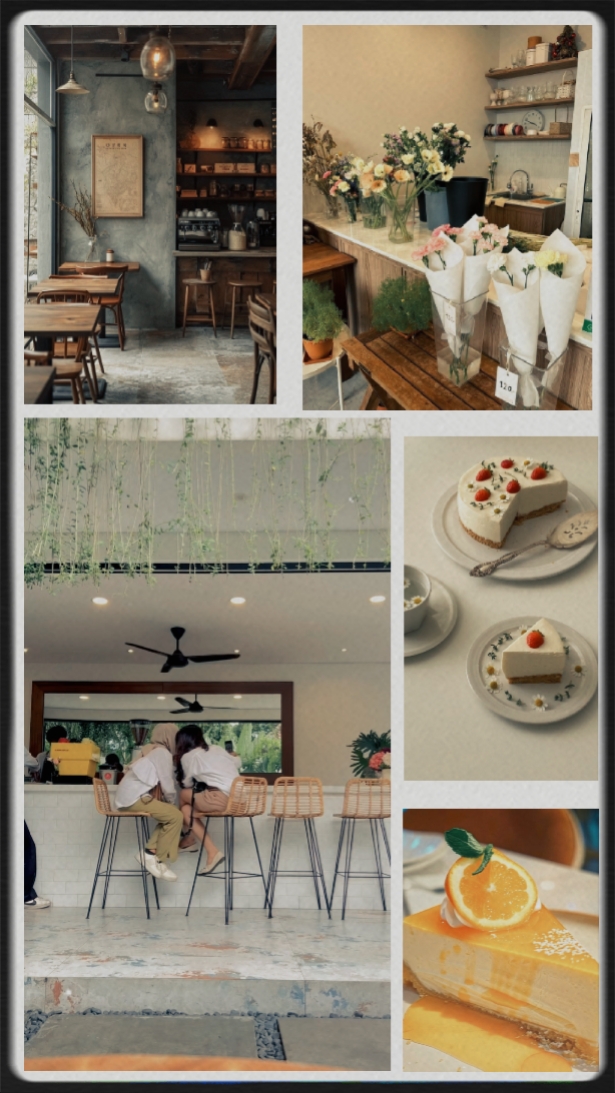 frame vid + pict