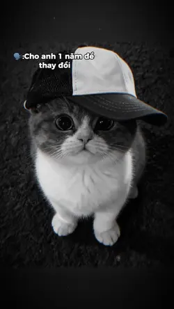 Phiên bản đã hết hạn