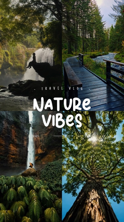 Nature Vibes 