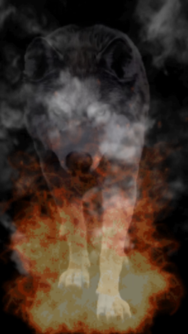 Lobo de fogo 